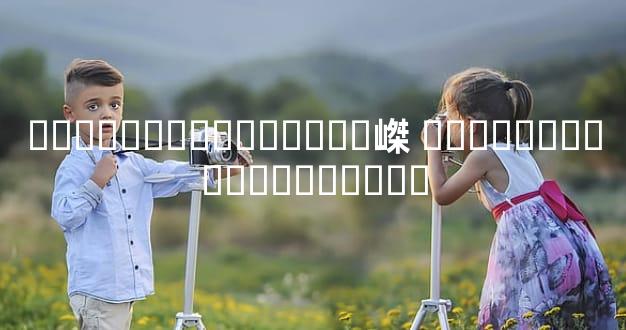 ����������ȫ��ϸ�嵥 ����������ȫ��ϸ����